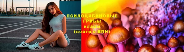 крисы Волоколамск