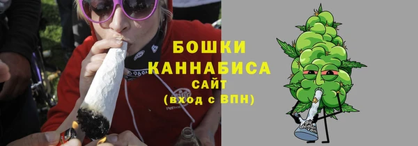 соль ск Волосово