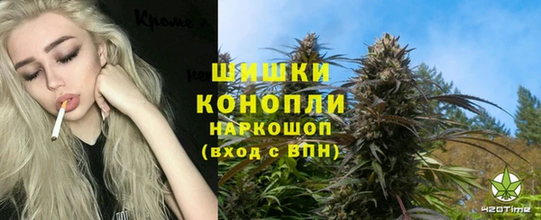соль ск Волосово