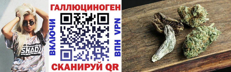 Псилоцибиновые грибы мицелий  Купить где  Краснозаводск 